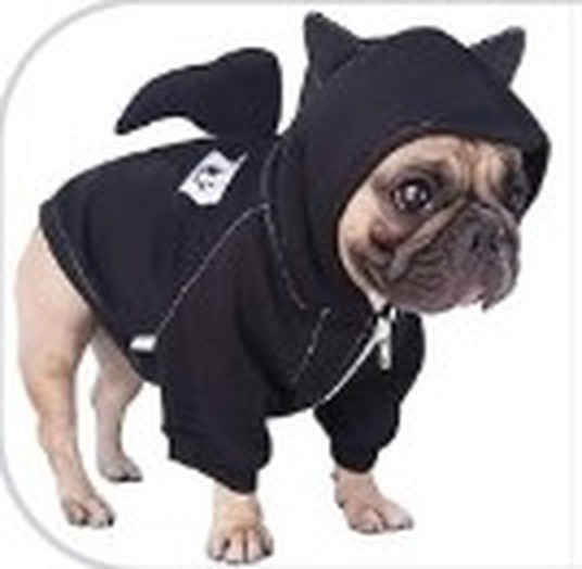 Product photo of the bat costume
