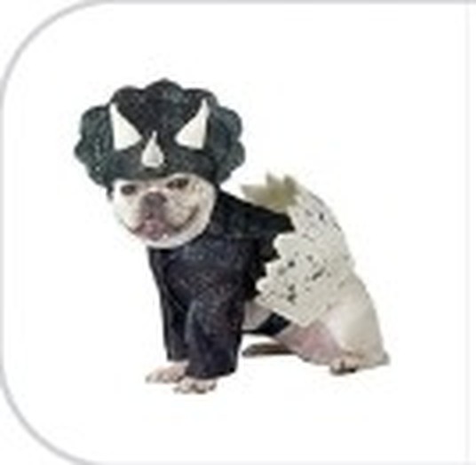 Product photo of the dino pup costume