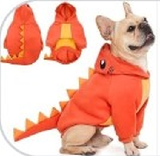 Product photo of the dinosaur costume