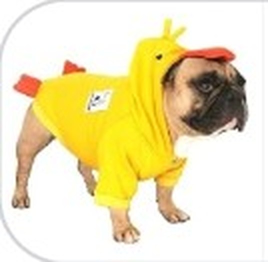 Product photo of the duck costume