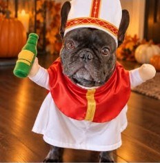 Digital try-on of Marv in a pope costume
